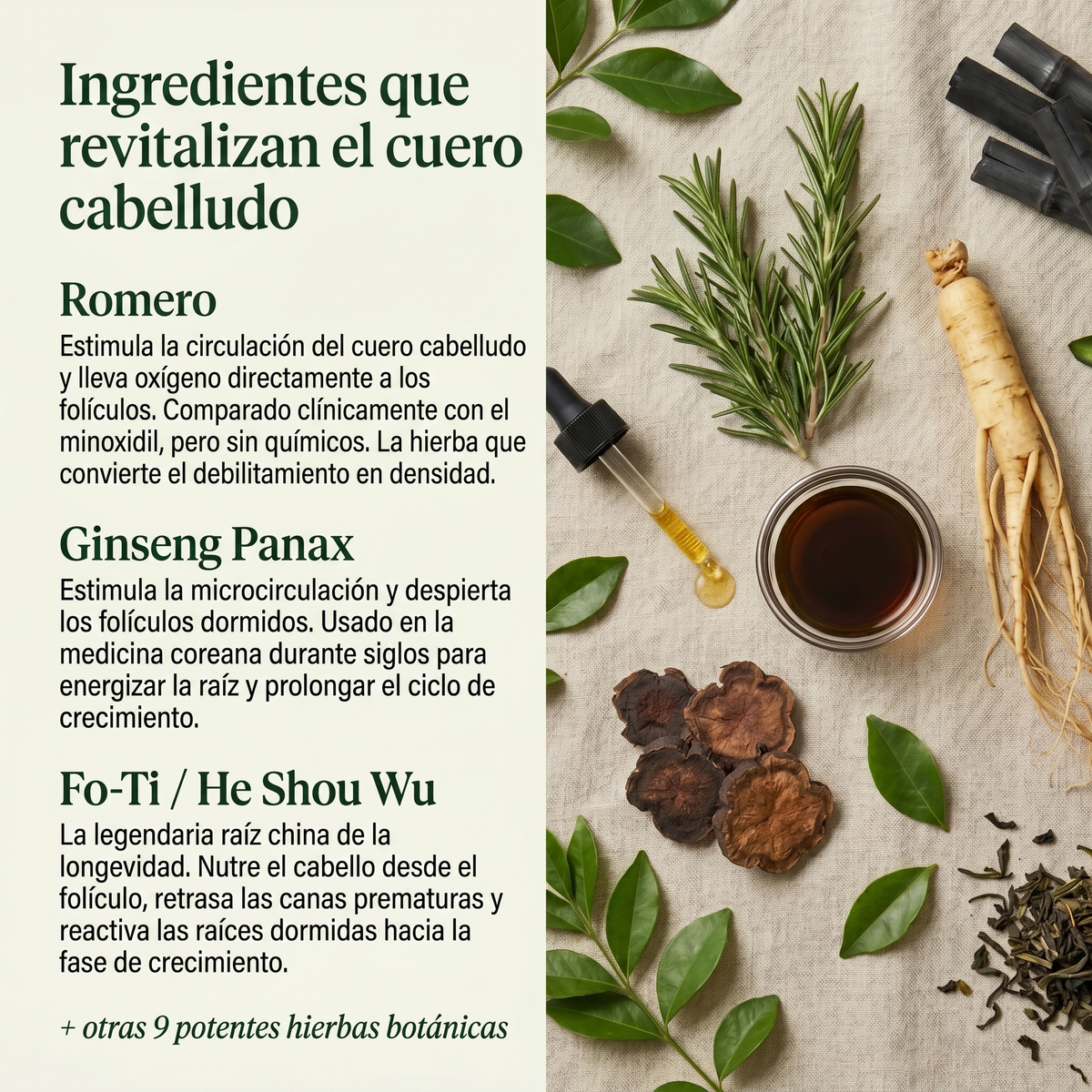 Pastilla Coreana Revitalizante del Cuero Cabelludo