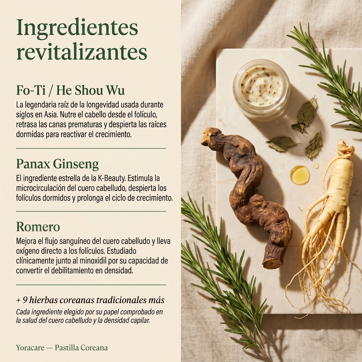 Pastilla Coreana Reparadora para Hombre