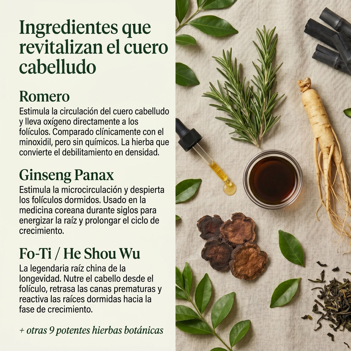 Pastilla Coreana Revitalizante del Cuero Cabelludo